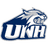 New Hampshire Wildcats logo